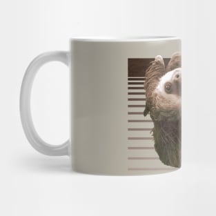 Hoffman's Two-Toed Sloth Mug